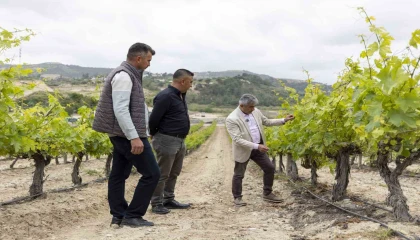 Mersinde üreticilere damlama sulama sistemi anlatılıyor