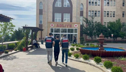 Motosikletle telef olan köpeği sürükleyen şahıs adli kontrolle serbest kaldı