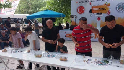 Mut Karacaoğlan ve Kayısı Festivali coşkulu başladı