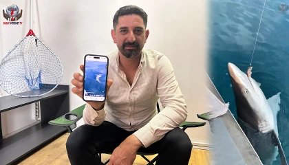 Oltaya köpek balığı takılınca korktular, ardından kurtarmak için çabaladılar