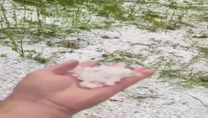 Osmaniyede dolu yağışı etkili oldu