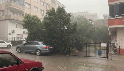 Osmaniyede fırtına ağaçları kökünden söktü