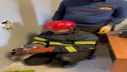 Osmaniyede mahsur kalan yavru kedileri itfaiye ekipleri kurtardı