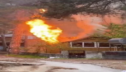 Osmaniyede yayla evlerinde çıkan yangın paniğe neden oldu