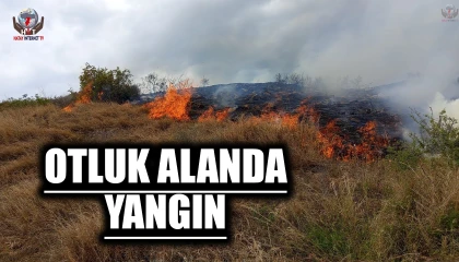 Otluk alanda çıkan yangın ormana sıçramadan söndürüldü