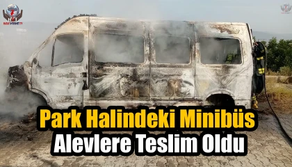 Park halindeki minibüs alevlere teslim oldu