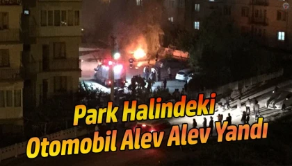 Park halindeki otomobil alevlere teslim oldu