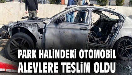 Park halindeki otomobil alevlere teslim oldu
