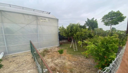 Serikte kamyonet seraya daldı: 1 yaralı