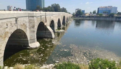 Seyhan Nehrinde kirlilik: İzmir Körfezinden bile daha kötü durumda