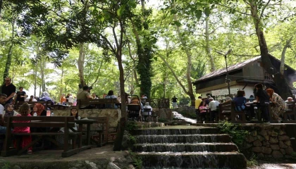 Sıcaktan kaçanlar, tabiat parkında serinledi