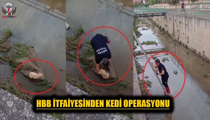 Su kanalında mahsur kalan kedinin yardımına itfaiye ekipleri koştu