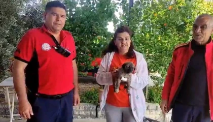 Su kenarında mahsur kalan köpeği itfaiye kurtardı