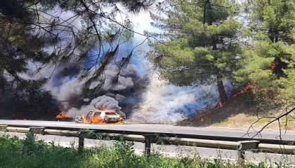 Tarsusta araçta çıkan yangın ormana sıçradı