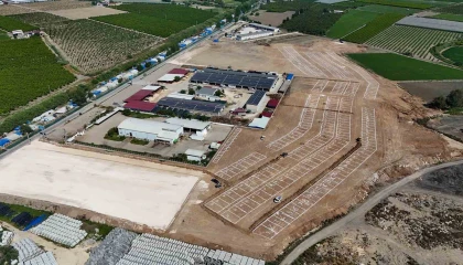 Tarsusta kurbanlık hayvan satışları tek alanda yapılacak