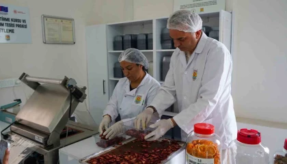 Tarsusta meyve ve sebze paketleme tesisi hizmete girdi