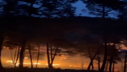 Tarsusta orman yangını