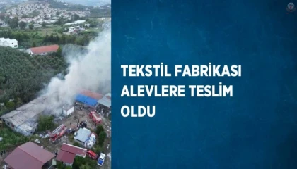 Tekstil fabrikası alevlere teslim oldu