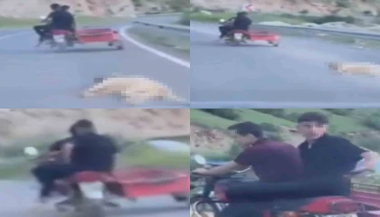 Telef olan köpeği sürükleyen şahsa 50 bin TL ceza