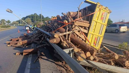 Tomruk yüklü kamyon bariyerleri aşıp refüje devrildi
