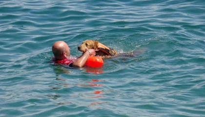 Türkiyenin ilk sivil sualtı kurtarma köpeği Zeyna, görev için gün sayıyor