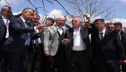 TZOB Başkanı Bayraktar, Kahramanmaraşta zirai dondan etkilenen bahçeleri inceledi