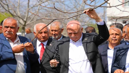 TZOB Genel Başkanı Bayraktar: 65 ilimizde meyve bahçelerimiz don felaketinden etkilendi