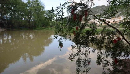 Yağmurlarla birlikte su seviyesi arttı doğa coştu