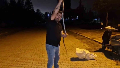 Yılanlara fısıldayan adam, çamaşır makinesine giren 1 buçuk metrelik karayılanı nasihat vererek doğaya bıraktı