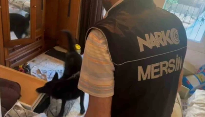 Zehir taciri kilolarca uyuşturucu ve 375 bin TL ile yakalandı