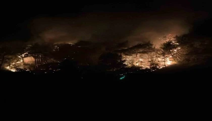 Adana Kozanda orman yangını büyümeden söndürüldü