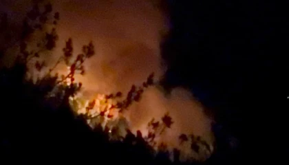 Adana ve Osmaniyede 14 farklı noktada orman yangını çıktı, 13ü kontrol altında