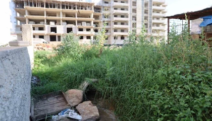 Adanada çevre skandalı: Boru döşeyip lagımı Kilgen Çayına bırakmışlar