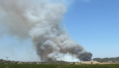 Adanada orman yangını