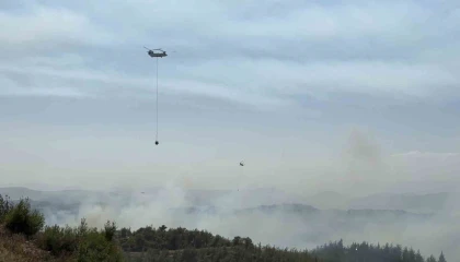 Adanada orman yangını kontrol altında: 6 gözaltı