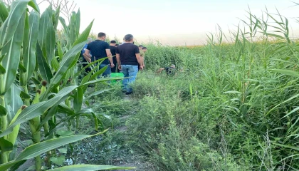 Adanada sazlıklar arasında bir kişi ölü bulundu