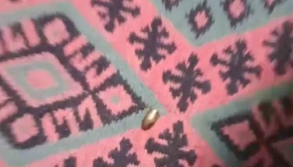 Adanada yorgun mermi, ailenin oturduğu çardağa isabet etti