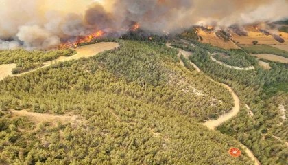 Adanadaki orman yangınına 12 helikopter ve 2 uçakla havadan müdahale