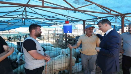 Akdenizde kurban satış yerleri hazır