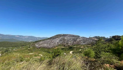 Alanya Kızılalanda çıkan yangın yaklaşık 10 saat sonra kontrol altına alındı