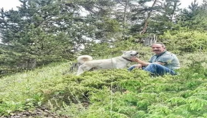 Alanyada kamyon ile damper arasında sıkışan şoför hayatını kaybetti