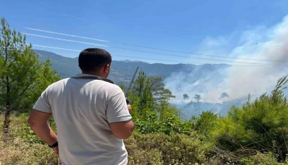 Alanyadaki yangınını kontrol altına alınması çalışmaları devam ediyor