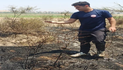 Alevler içinde kalan yavru serçeye, itfaiyeden can suyu