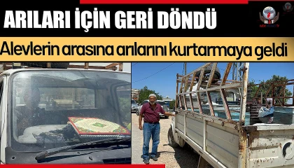 Alevlerin arasına arılarını kurtarmaya geldi