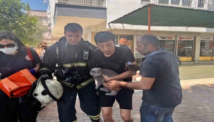 Alevlerin sardığı evde balkona sığındı kedisini elinden bırakmadı