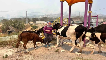 Alevlerin sıçradığı ahırından ekiplerin yardımıyla hayvanları kurtardı