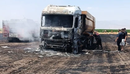 Anız yangını milyonluk tırı kül etti