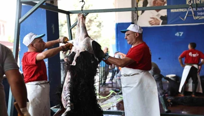 Antalya Büyükşehir Belediyesinden hijyenik ortamda ücretsiz kurban kesim hizmeti