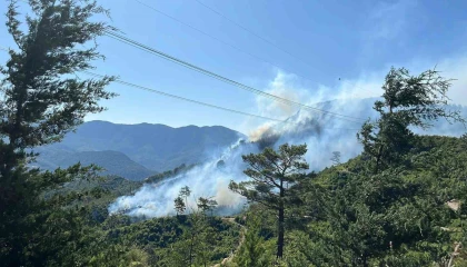 Antalyada 2 ilçede orman yangını
