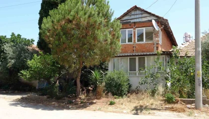 Antalyada kötü kokuların yayıldığı ev hayvanseverleri ayağa kaldırdı